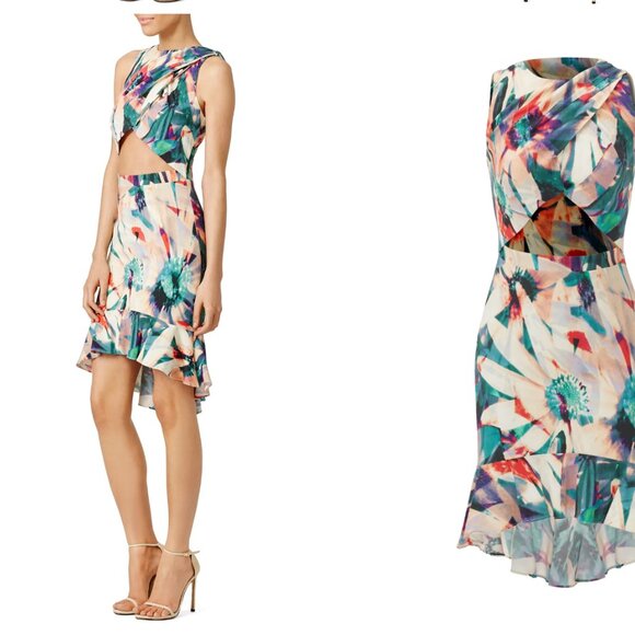 Artelier Nicole Miller Calatheas Floral Ruffle Cutout Hi-Lo Sheath, Size 4 - Picture 10 of 10